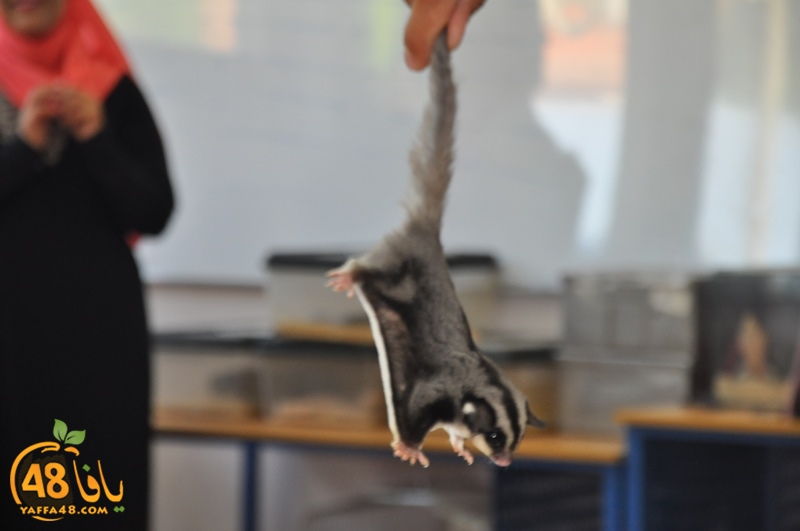 nady nhary 7san (14).JPG